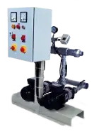 Dual Booster Pump Repair Service